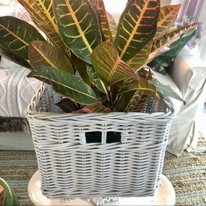 Large Square White Handle Basket